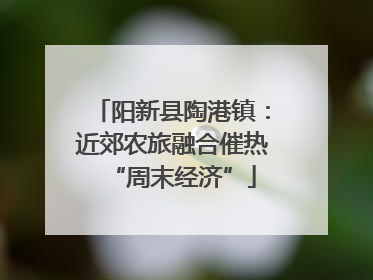 阳新县陶港镇：近郊农旅融合催热“周末经济”