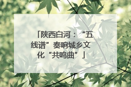 陕西白河：“五线谱”奏响城乡文化“共鸣曲”