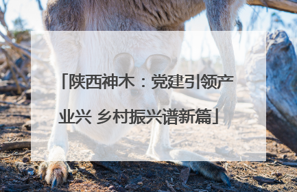 陕西神木：党建引领产业兴 乡村振兴谱新篇