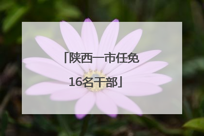 陕西一市任免16名干部