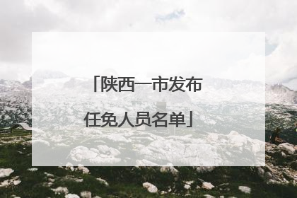 陕西一市发布任免人员名单