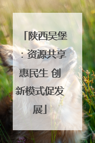 陕西吴堡：资源共享惠民生 创新模式促发展