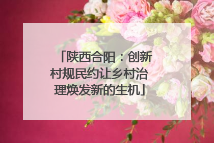陕西合阳：创新村规民约让乡村治理焕发新的生机