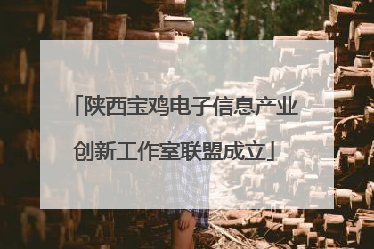 陕西宝鸡电子信息产业创新工作室联盟成立