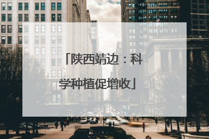 陕西靖边：科学种植促增收