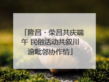 隆昌・荣昌共庆端午 民俗活动共叙川渝毗邻协作情