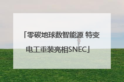零碳地球数智能源 特变电工重装亮相SNEC