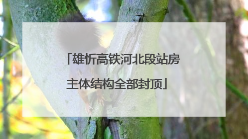 雄忻高铁河北段站房主体结构全部封顶