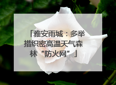 雅安雨城：多举措织密高温天气森林“防火网”
