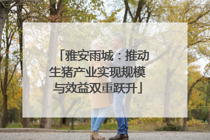 雅安雨城：推动生猪产业实现规模与效益双重跃升