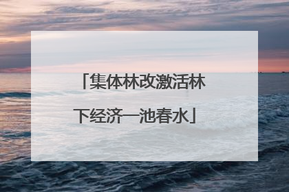 集体林改激活林下经济一池春水