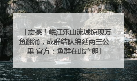 震撼！岷江乐山流域惊现万鱼翻涌，成群结队绵延两三公里 官方：鱼群在此产卵