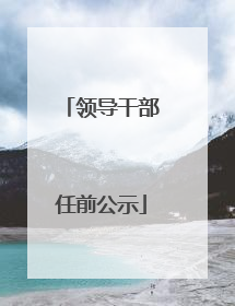 领导干部任前公示