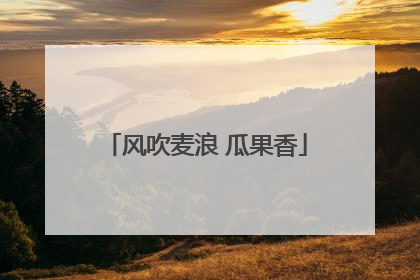 风吹麦浪 瓜果香