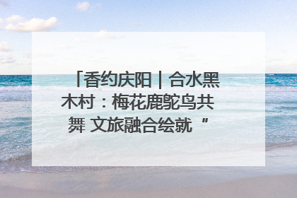香约庆阳｜合水黑木村：梅花鹿鸵鸟共舞 文旅融合绘就“诗与远方”