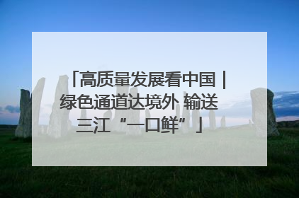 高质量发展看中国｜绿色通道达境外 输送三江“一口鲜”