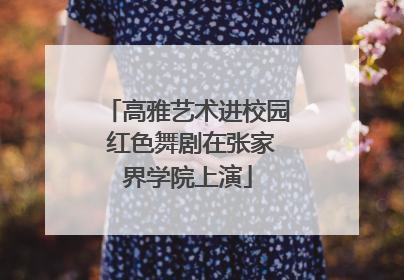 高雅艺术进校园 红色舞剧在张家界学院上演