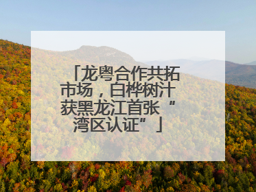 龙粤合作共拓市场，白桦树汁获黑龙江首张“湾区认证”