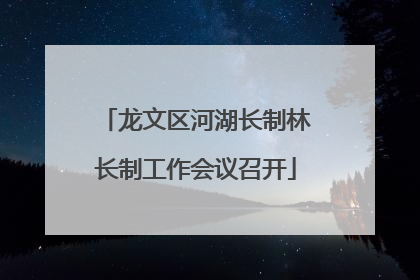 龙文区河湖长制林长制工作会议召开