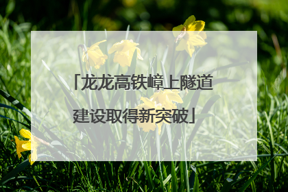 龙龙高铁嶂上隧道建设取得新突破