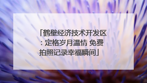 鹤壁经济技术开发区：定格岁月温情 免费拍照记录幸福瞬间