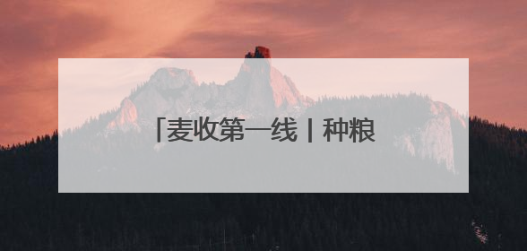 麦收第一线丨种粮大户老房：让专业的人干专业的事
