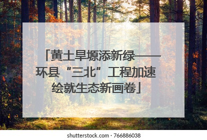 黄土旱塬添新绿——环县“三北”工程加速绘就生态新画卷