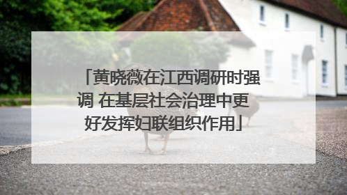 黄晓薇在江西调研时强调 在基层社会治理中更好发挥妇联组织作用