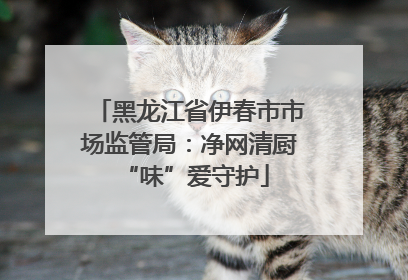 黑龙江省伊春市市场监管局：净网清厨 “味”爱守护