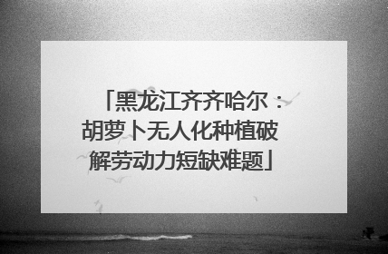 黑龙江齐齐哈尔：胡萝卜无人化种植破解劳动力短缺难题