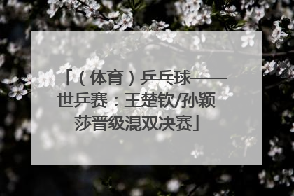 （体育）乒乓球——世乒赛：王楚钦/孙颖莎晋级混双决赛