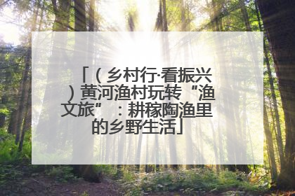 （乡村行·看振兴）黄河渔村玩转“渔文旅”：耕稼陶渔里的乡野生活