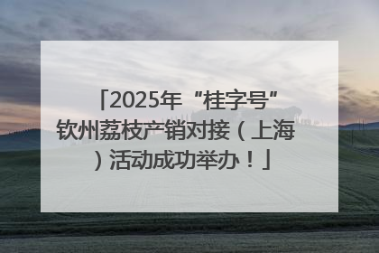 2025年“桂字号”钦州荔枝产销对接（上海）活动成功举办！