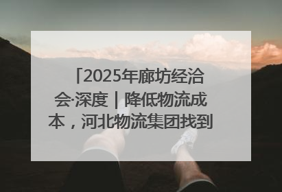 2025年廊坊经洽会·深度｜降低物流成本，河北物流集团找到一把“金钥匙”