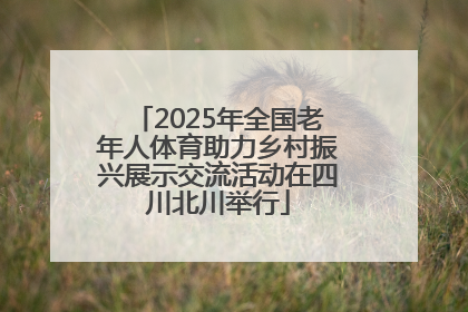 2025年全国老年人体育助力乡村振兴展示交流活动在四川北川举行
