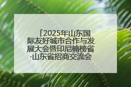 2025年山东国际友好城市合作与发展大会暨印尼楠榜省·山东省招商交流会在济南槐荫举行