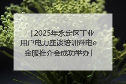 2025年永定区工业用户电力座谈培训暨电e金服推介会成功举办