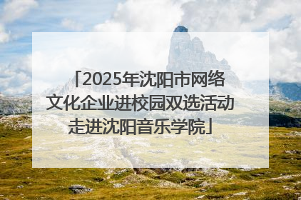 2025年沈阳市网络文化企业进校园双选活动走进沈阳音乐学院