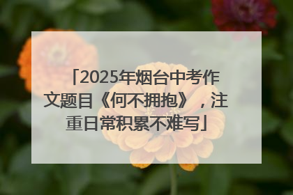 2025年烟台中考作文题目《何不拥抱》，注重日常积累不难写