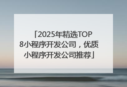 2025年精选TOP8小程序开发公司，优质小程序开发公司推荐