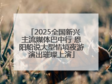 2025全国新兴主流媒体巴中行 恩阳船说大型情境夜游演出璀璨上演