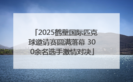 2025鹤壁国际匹克球邀请赛圆满落幕 300余名选手激情对决