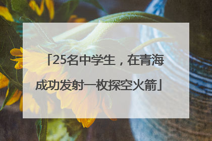 25名中学生，在青海成功发射一枚探空火箭