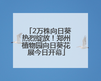 2万株向日葵热烈绽放！郑州植物园向日葵花展今日开幕