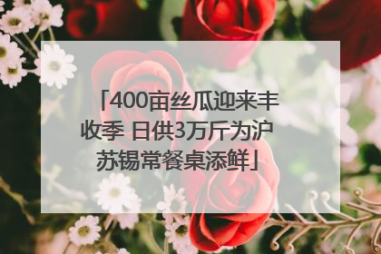 400亩丝瓜迎来丰收季 日供3万斤为沪苏锡常餐桌添鲜