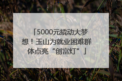 5000元撬动大梦想！玉山为就业困难群体点亮“创富灯”