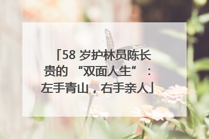 58 岁护林员陈长贵的 “双面人生”：左手青山，右手亲人
