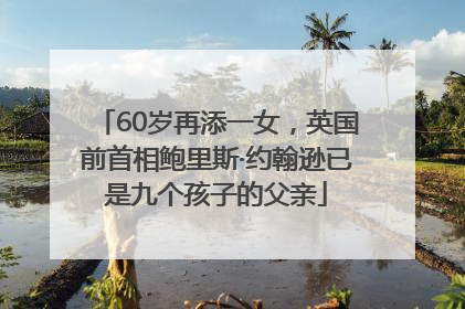 60岁再添一女，英国前首相鲍里斯·约翰逊已是九个孩子的父亲