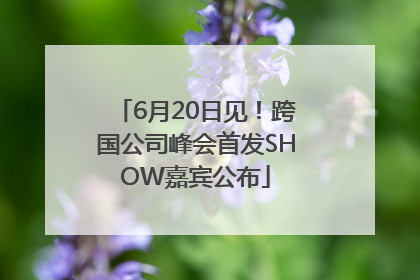 6月20日见！跨国公司峰会首发SHOW嘉宾公布