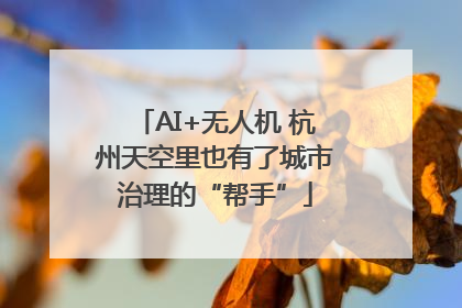 AI+无人机 杭州天空里也有了城市治理的“帮手”